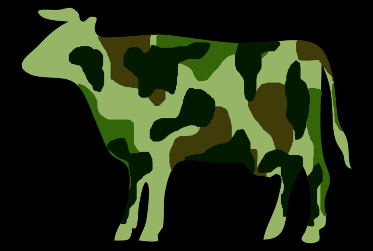 לשחוט פרות קדושות – הצבא